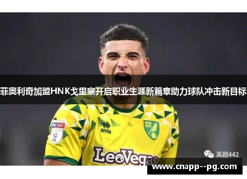 菲奥利奇加盟HNK戈里察开启职业生涯新篇章助力球队冲击新目标 菲奥利奇加盟HNK戈里察开启职业生涯新篇章助力球队冲击新目标