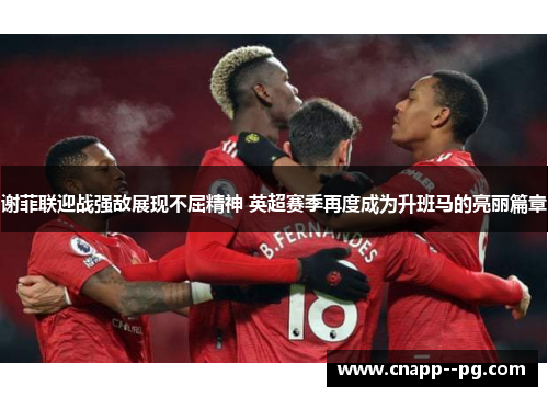 谢菲联迎战强敌展现不屈精神 英超赛季再度成为升班马的亮丽篇章 谢菲联迎战强敌展现不屈精神 英超赛季再度成为升班马的亮丽篇章