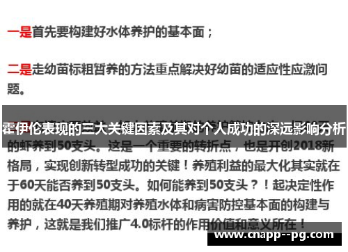 霍伊伦表现的三大关键因素及其对个人成功的深远影响分析 霍伊伦表现的三大关键因素及其对个人成功的深远影响分析
