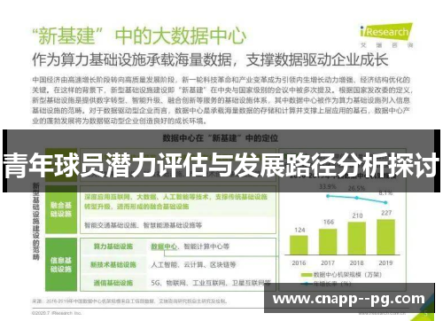 青年球员潜力评估与发展路径分析探讨