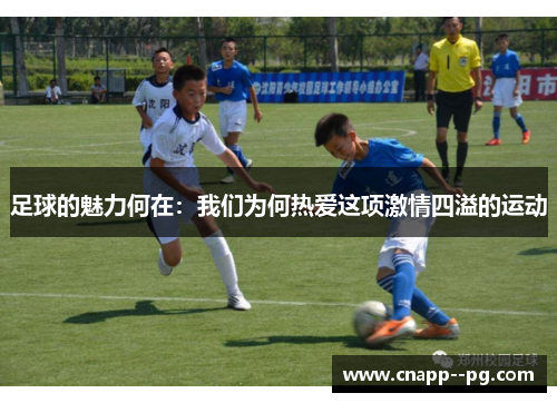 足球的魅力何在：我们为何热爱这项激情四溢的运动