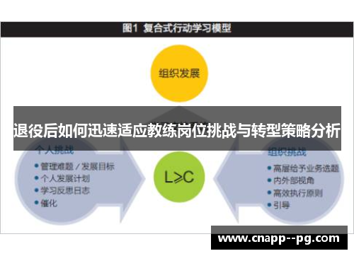 退役后如何迅速适应教练岗位挑战与转型策略分析 退役后如何迅速适应教练岗位挑战与转型策略分析
