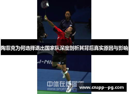 陶菲克为何选择退出国家队深度剖析其背后真实原因与影响