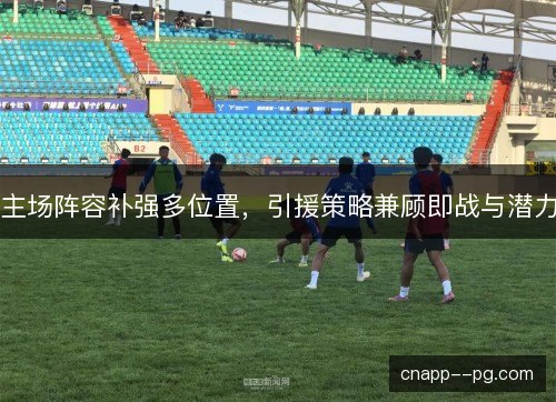 主场阵容补强多位置,引援策略兼顾即战与潜力 主场阵容补强多位置,引援策略兼顾即战与潜力